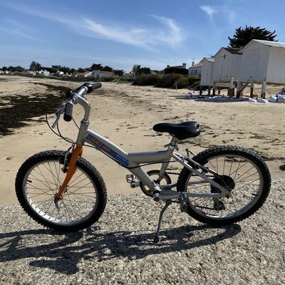 Vélo enfant 20 pouces 