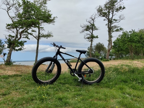 Fatbike  Pro Line 