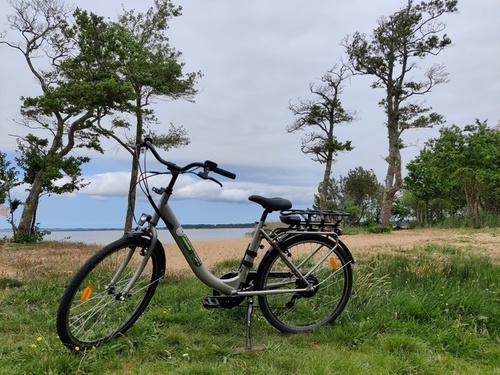 VTC électrique  Adulte 