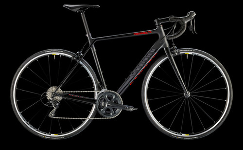CANYON CANYON ENDURACE CF 7